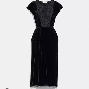 Coach velvet dress -never worn. BRAND NEW WITH TAGS
